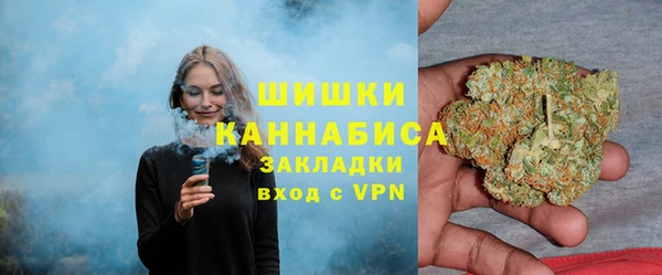 apvp Алексин