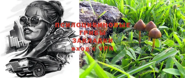 ПСИЛОЦИБИНОВЫЕ ГРИБЫ Алзамай