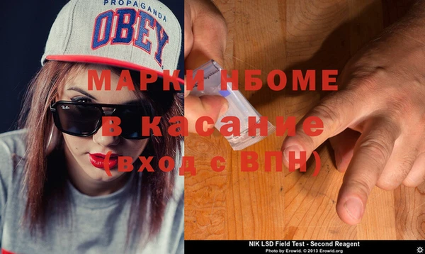 ПСИЛОЦИБИНОВЫЕ ГРИБЫ Алзамай
