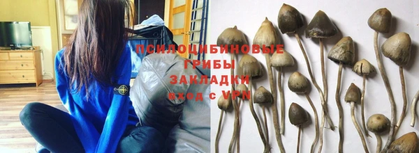 ПСИЛОЦИБИНОВЫЕ ГРИБЫ Алзамай