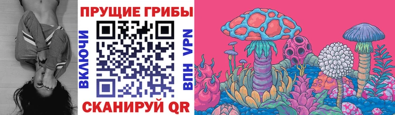 Псилоцибиновые грибы ЛСД  Ахтубинск 