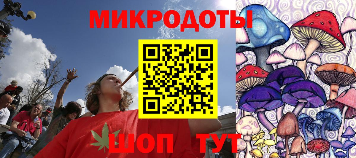 Ахтубинск  Галлюциногенные грибы Cubensis  Вход с VPN 